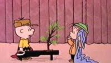 Linus 1